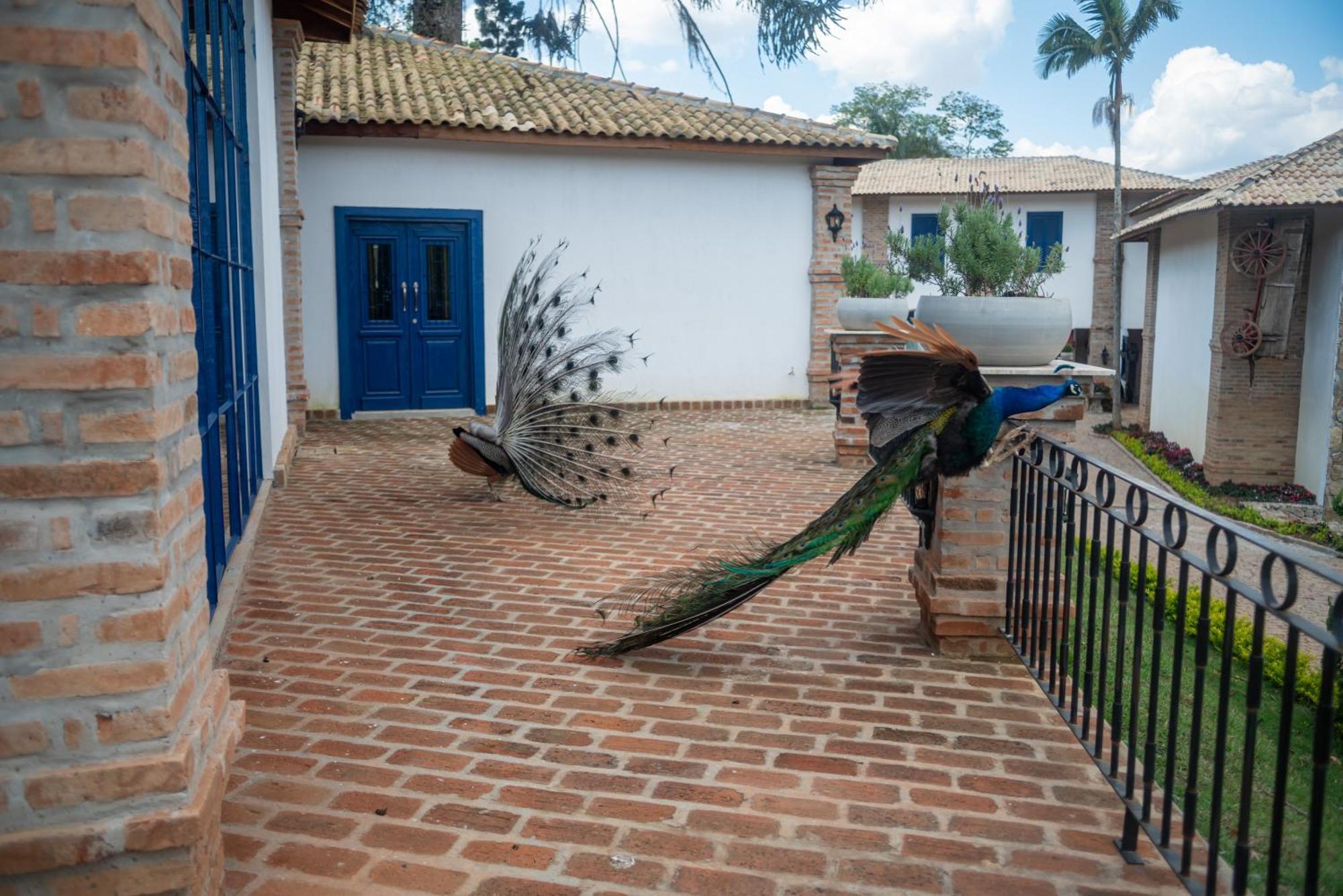 Hotel Fazenda Sao Silvano Morungaba Exteriör bild