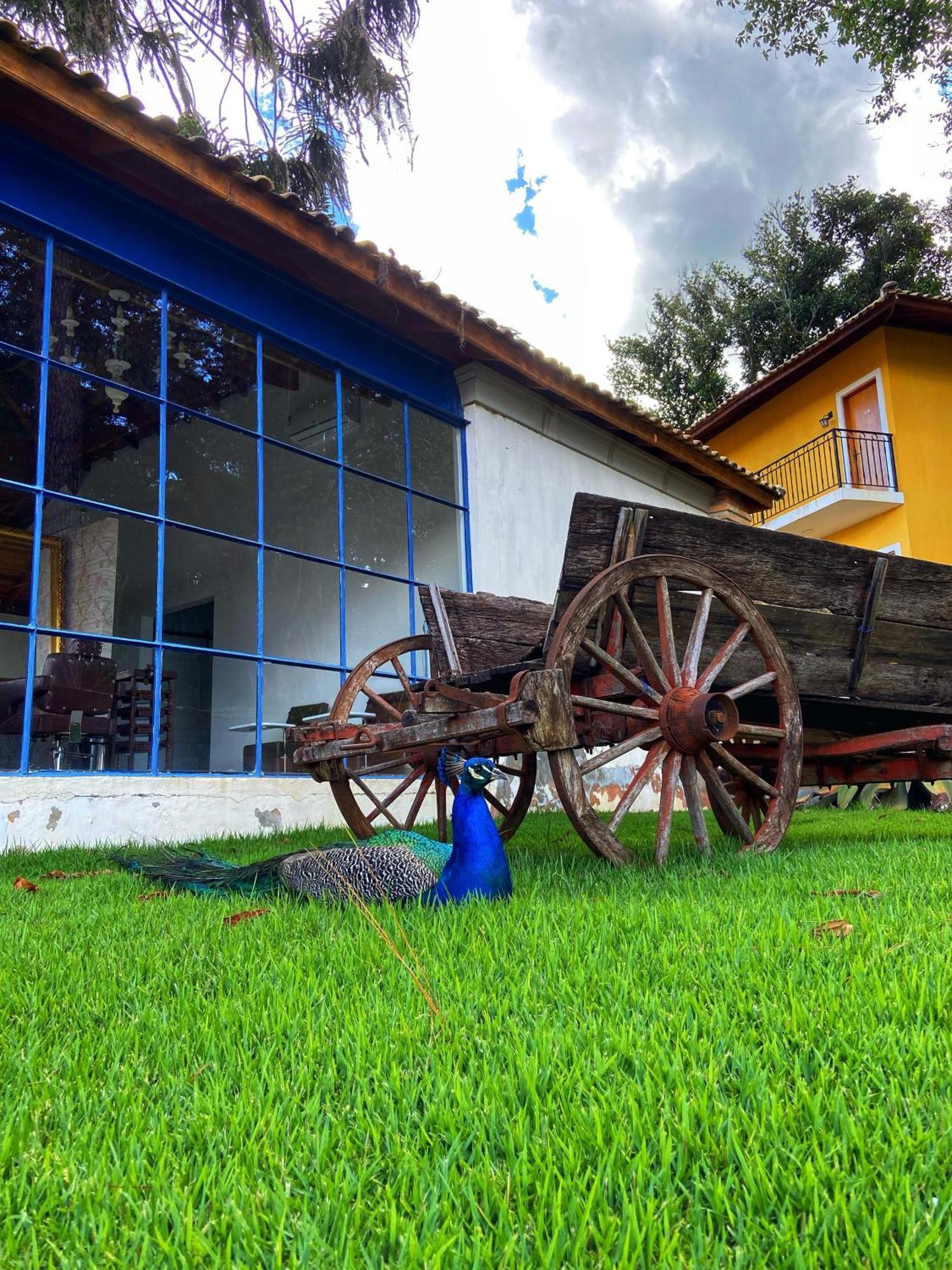 Hotel Fazenda Sao Silvano Morungaba Exteriör bild