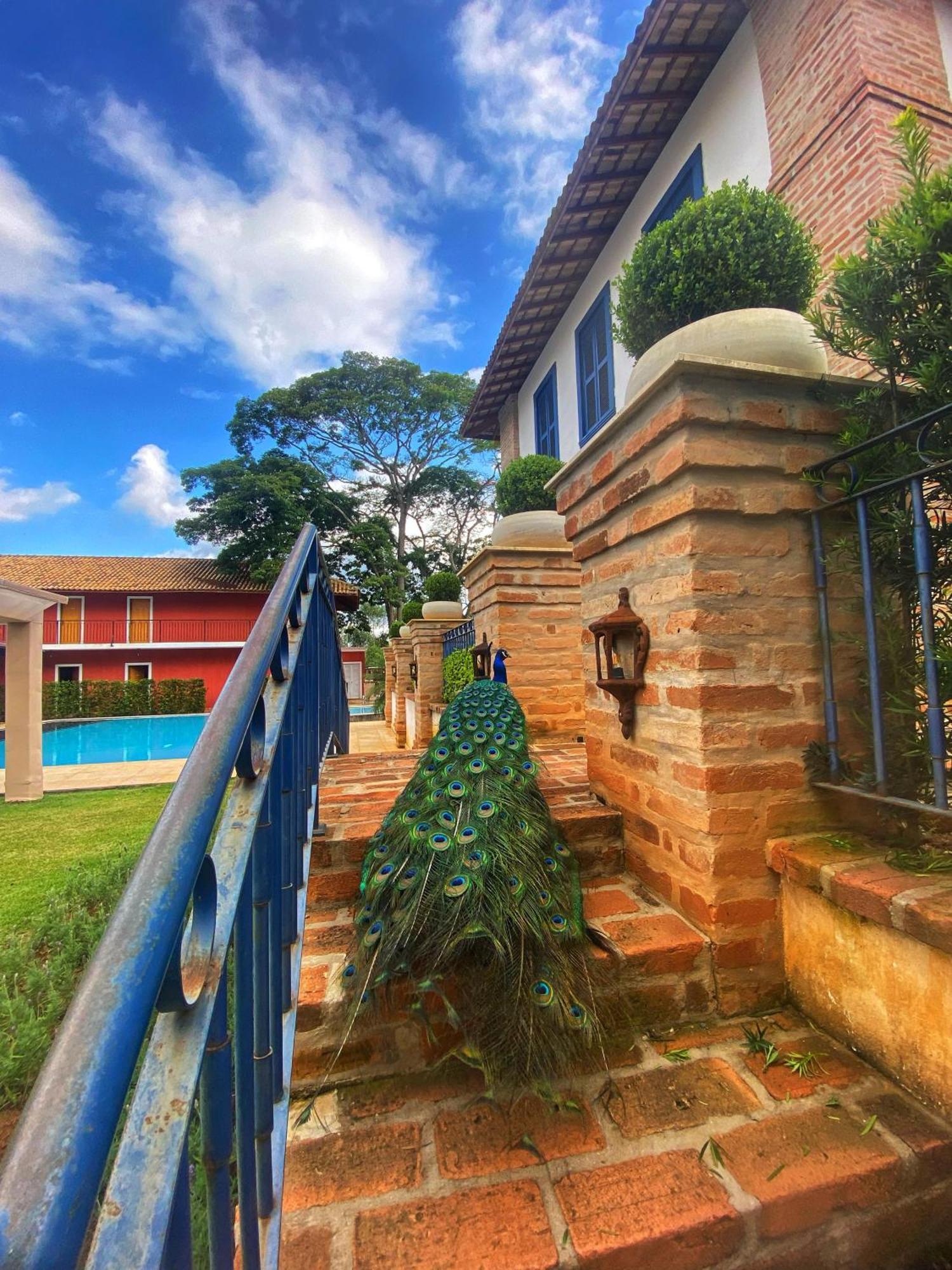 Hotel Fazenda Sao Silvano Morungaba Exteriör bild
